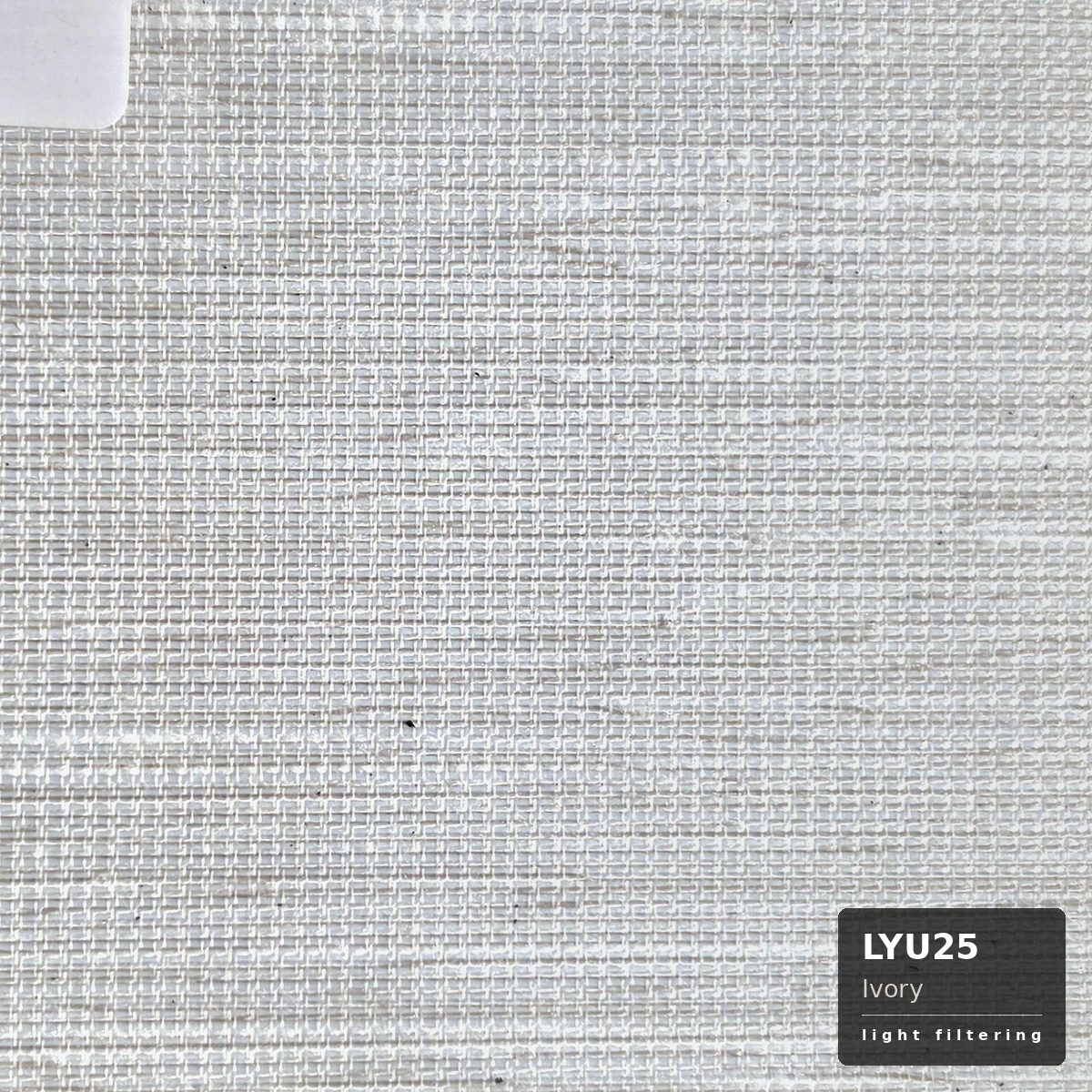 Ivory (LYU25)