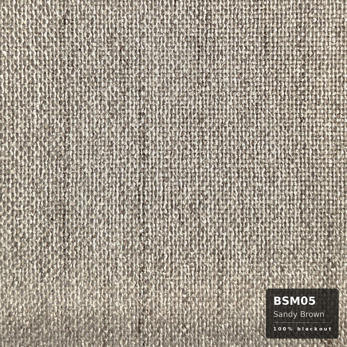 Sandy Brown (BSM05)