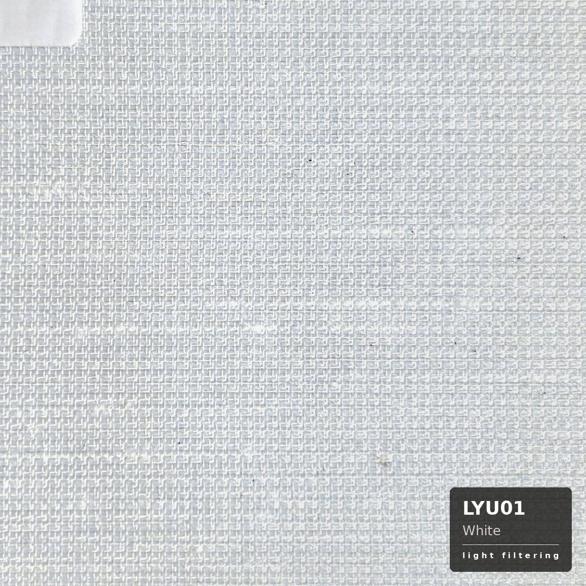White (LYU01)
