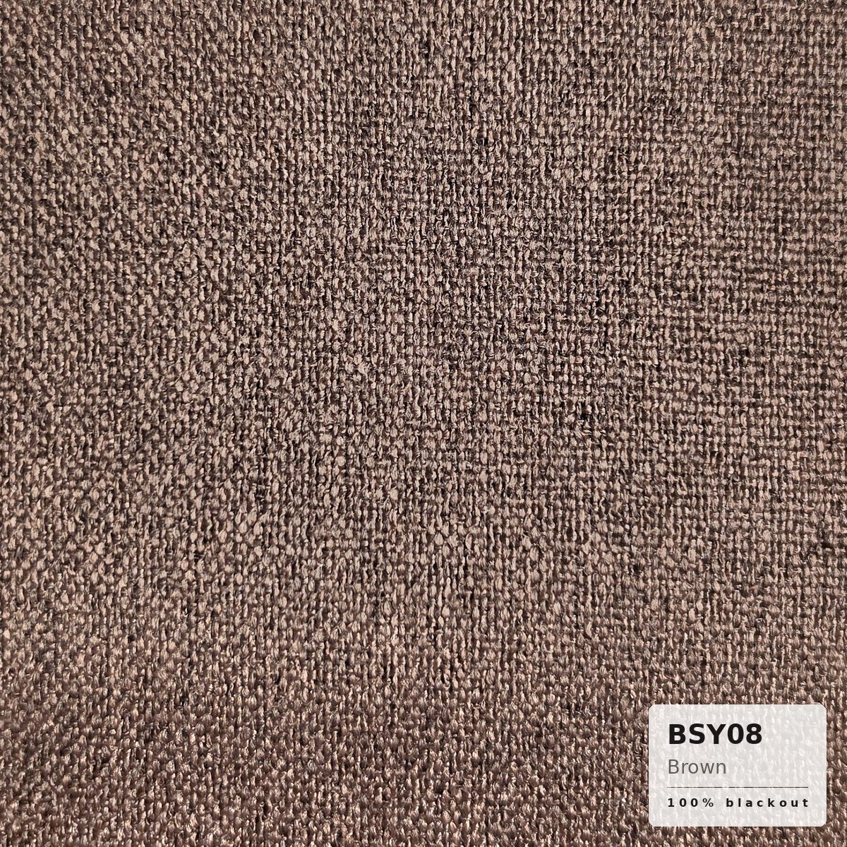 Brown (BSY08)